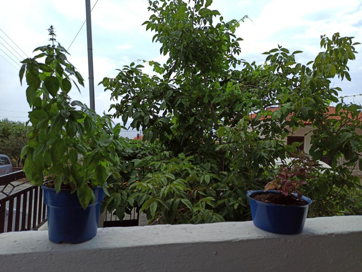 Apartment Doras House In Village άνετο υπέροχη θέα Pyrgadikia